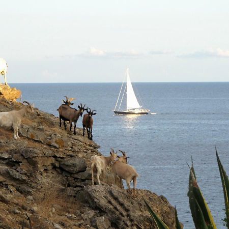 Isola D'Elba Come In Barca, A Un Tuffo Dal Mare Capoliveri  Exteriör bild