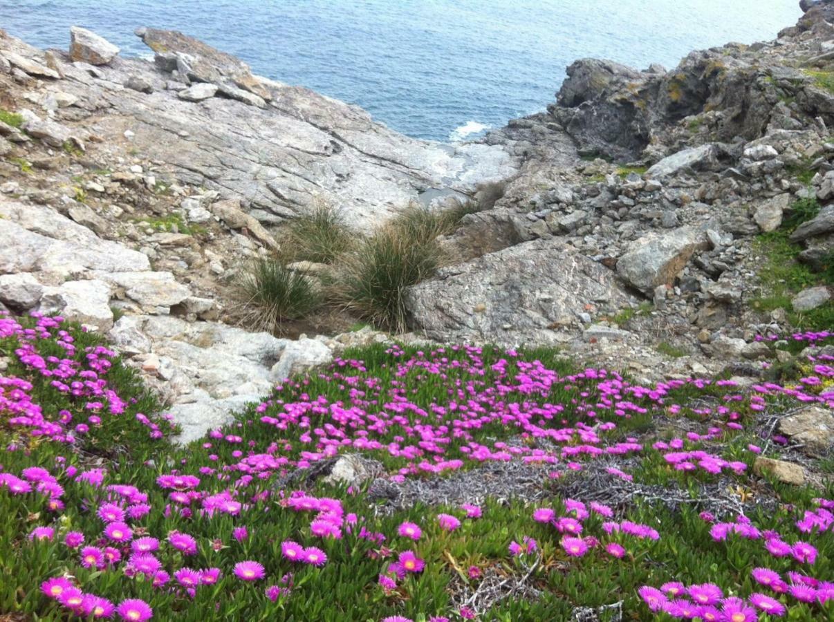 Isola D'Elba Come In Barca, A Un Tuffo Dal Mare Capoliveri  Exteriör bild